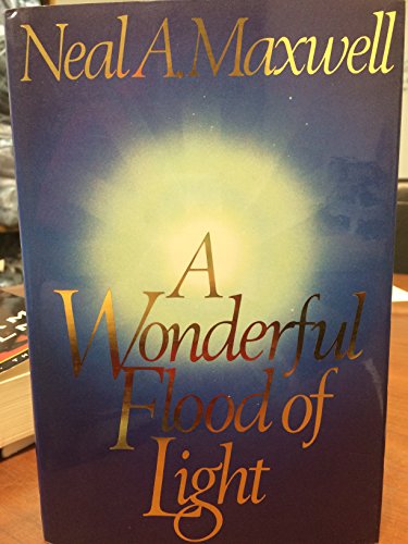 Beispielbild fr A Wonderful Flood of Light zum Verkauf von Wonder Book