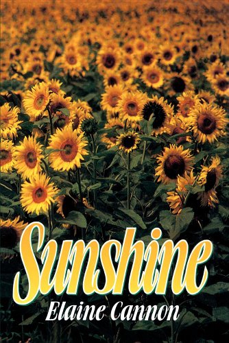 Imagen de archivo de Sunshine a la venta por Wonder Book