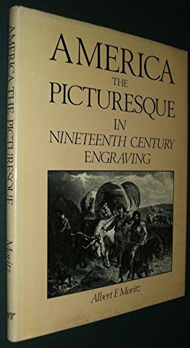 Stock image for America the Pituresque in Nineteenth Century Engraving for sale by Thomas F. Pesce'