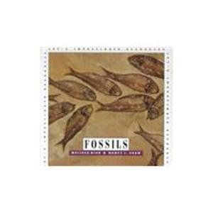 Stock image for Fossils for sale by Better World Books: West