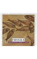 Stock image for Fossils for sale by Better World Books: West