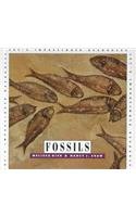 9780886829872: Fossils (Let's Investigate)