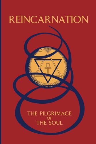Beispielbild fr Reincarnation: The Pilgrimage of the Soul zum Verkauf von Martin Nevers- used & rare books