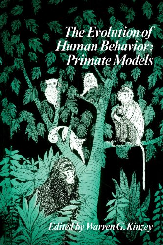 Beispielbild fr The Evolution of Human Behavior: Primate Models (Suny Series in Primatology) zum Verkauf von Front Cover Books