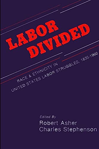 Stock image for Labor Divided : Race and Ethnicity in United States Labor Struggles, 1835-1960 for sale by Better World Books