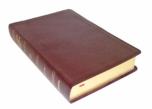 Imagen de archivo de Thompson Chain Reference Bible (Style 809burgundy) - Regular Size NIV a la venta por Sunshine State Books