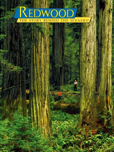 Imagen de archivo de Redwood : The Story Behind the Scenery a la venta por Better World Books