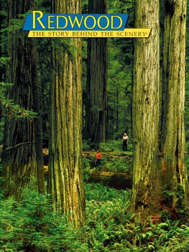 Stock image for Redwood: The Story Behind the Scenery for sale by Books of the Smoky Mountains