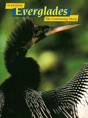 Beispielbild fr in Pictures Everglades: The Continuing Story zum Verkauf von Wonder Book