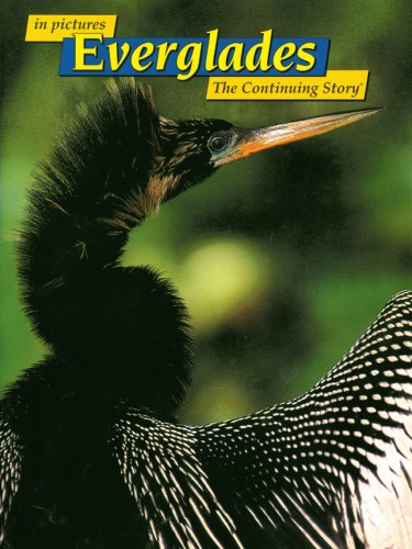 Stock image for in Pictures Everglades: The Continuing Story for sale by Wonder Book