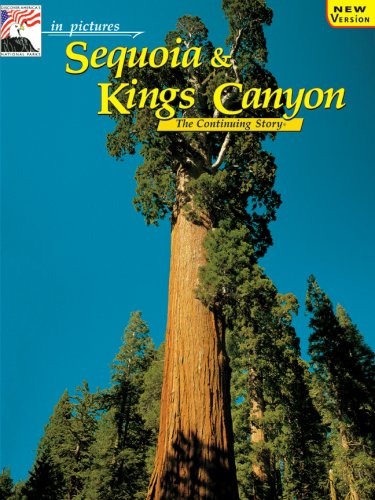 9780887140495: Sequoia & Kings Canyon: The Story Behind the Scenery (In Pictures... Nature's Continuing Story) [Idioma Ingls]