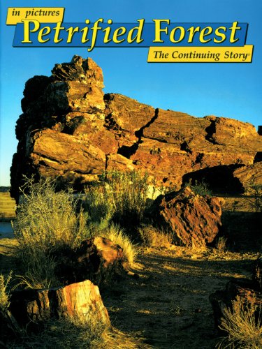 Stock image for In Pictures: Petrified Forest, The Continuing Story for sale by Bay Used Books