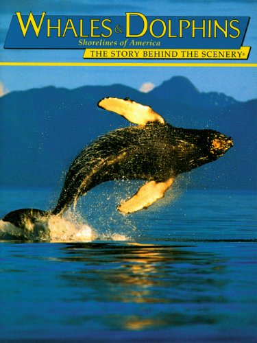 Stock image for Whales & Dolphins, Shorelines of America: The Story Behind the Scenery for sale by Wonder Book