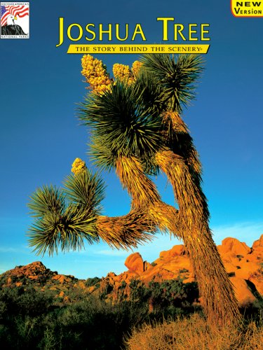 Stock image for Joshua Tree: The Story Behind the Scenery for sale by SecondSale