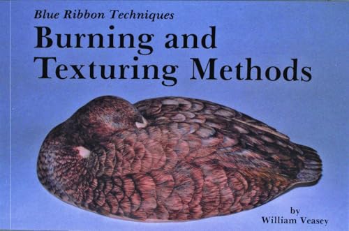 Imagen de archivo de Burning and Texturing Methods (Blue Ribbon Techniques) a la venta por Wonder Book