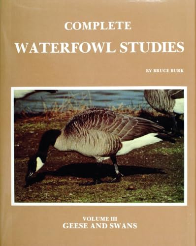 Beispielbild fr Complete Waterfowl Studies: Volume III: Geese and Swans zum Verkauf von ThriftBooks-Dallas