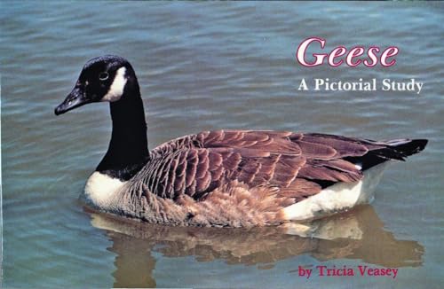 Beispielbild fr Geese a Pictorial Study zum Verkauf von Wonder Book