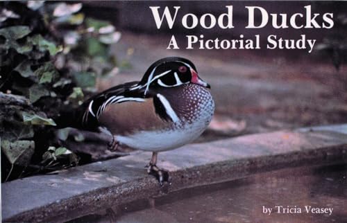 Wood Ducks: A Pictorial Study