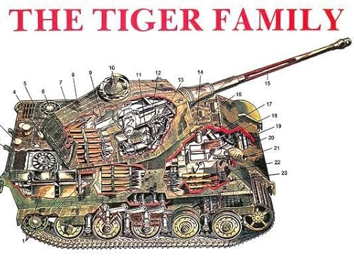 9780887401879: The Tiger Family: Tiger I Porsche-Tiger, Elephant Pursuit Tank : Tiger II King Tiger, Hunting Tiger, Storm Tiger