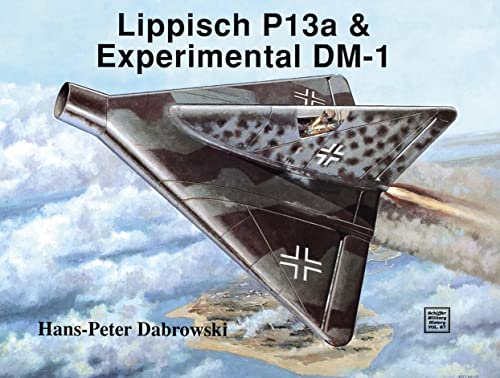 9780887404795: Lippisch P 13a and Experimental DM-1