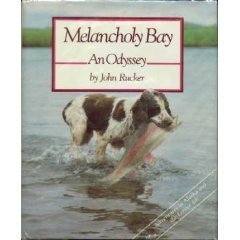 Beispielbild fr Melancholy Bay, an Odyssey zum Verkauf von COLLINS BOOKS