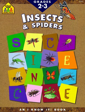 Stock image for Insects & Spiders: Bugs Everywhere for sale by ThriftBooks-Atlanta