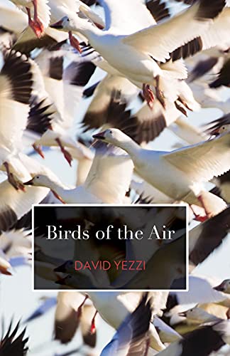 Beispielbild fr Birds of the Air zum Verkauf von ThriftBooks-Atlanta