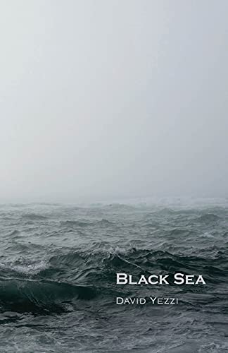 Stock image for Black Sea (Carnegie Mellon Poetry) for sale by Books Unplugged