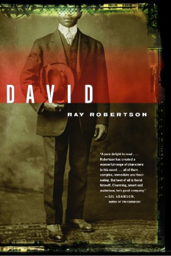 Stock image for David: A Novel for sale by Lakeside Books