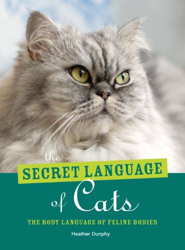 Stock image for Secret Language of Cats : The Body Language of Felie Bodies for sale by Better World Books: West