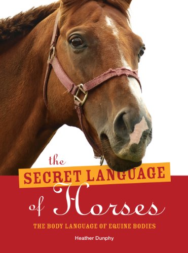 Stock image for Secret Language of Horses : The Body Language of Equine Bodies for sale by Better World Books