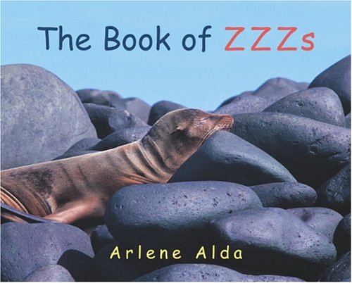 Beispielbild fr The Book of ZZZs zum Verkauf von More Than Words