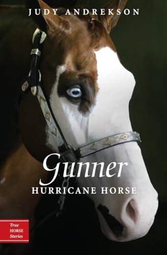 Imagen de archivo de Gunner: Hurricane Horse a la venta por ThriftBooks-Dallas