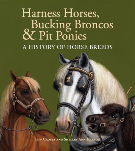 Imagen de archivo de Harness Horses, Bucking Broncos & Pit Ponies: A History of Horse Breeds a la venta por SecondSale