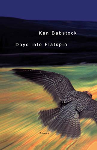 Imagen de archivo de Days Into Flatspin a la venta por Lowry's Books