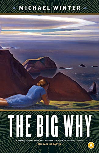 Imagen de archivo de The Big Why : A Novel a la venta por Zoom Books Company