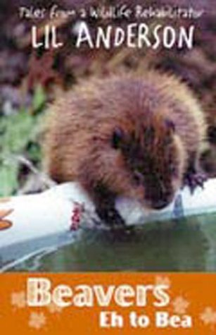 Stock image for Beavers Eh to Bea : Tales from a Wildlife Rehabilitator for sale by Better World Books