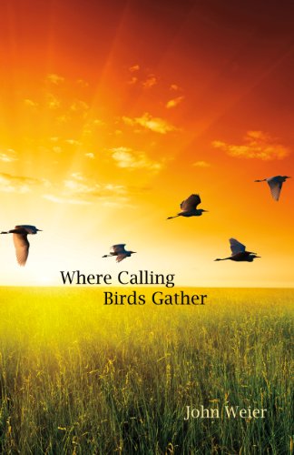 Stock image for Where Calling Birds Gather for sale by Werdz Quality Used Books