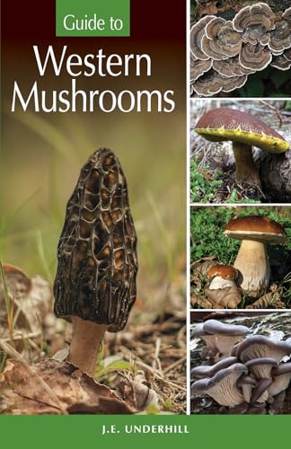 Stock image for Guide to Western Mushrooms for sale by SecondSale