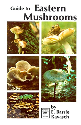 Stock image for Eastern Mushrooms for sale by ThriftBooks-Dallas
