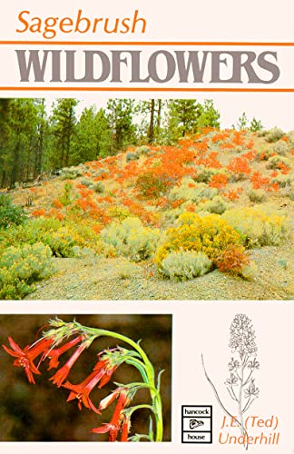 Stock image for Sagebrush Wildflowers for sale by ThriftBooks-Atlanta