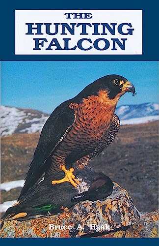 Beispielbild fr Hunting Falcon zum Verkauf von WorldofBooks