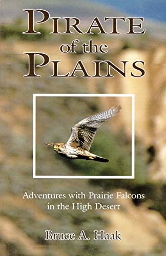 Stock image for PIRATE OF THE PLAINS: ADVENTURES WITH PRAIRIE FALCONS IN THE HIGH DESERT. By Bruce A. Haak. for sale by Coch-y-Bonddu Books Ltd