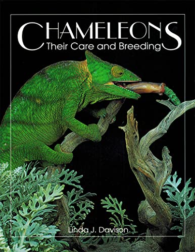 Beispielbild fr Chameleons: Their Care and Breeding zum Verkauf von Bahamut Media