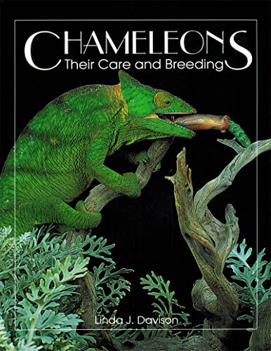 9780888393531: Chameleons: Their Care and Breeding