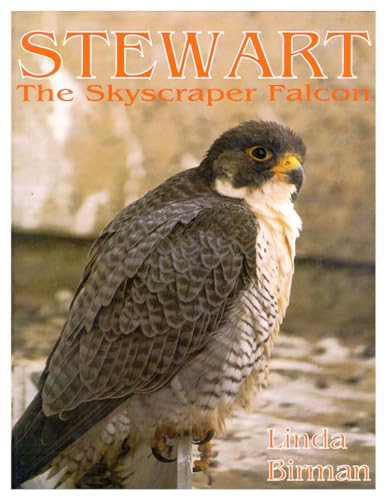 Stock image for Stewart the Skyscraper Falcon for sale by Wonder Book