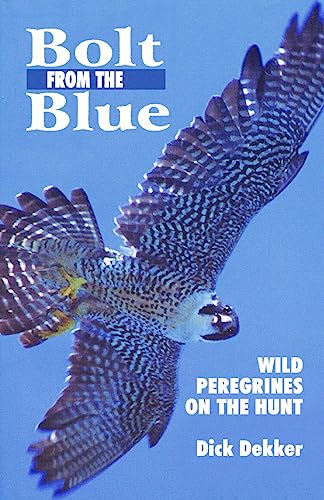 Beispielbild fr BOLT FROM THE BLUE: WILD PEREGRINES ON THE HUNT. By Dick Dekker. zum Verkauf von Coch-y-Bonddu Books Ltd