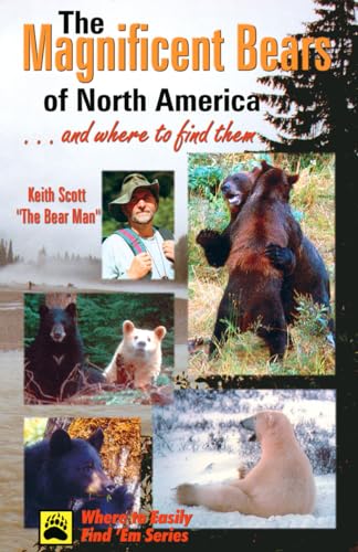 Stock image for Magnificent Bears of North America.and Where to Find Them for sale by Goldstone Books