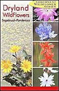 9780888395177: Northwest Dryland Wildflowers: Of the Sagebrush and Ponderosa (Northwest Wildflowers Series)