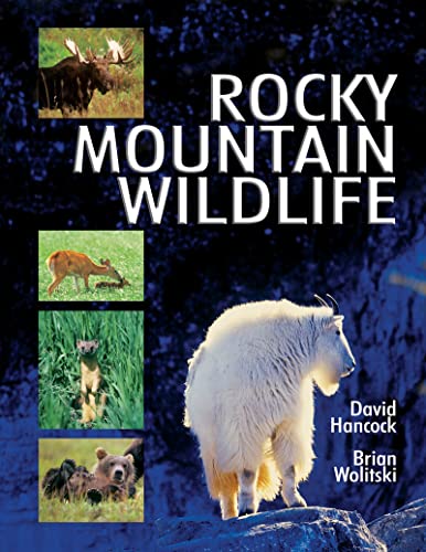 9780888395672: Rocky Mountain Wildlife [Lingua Inglese]